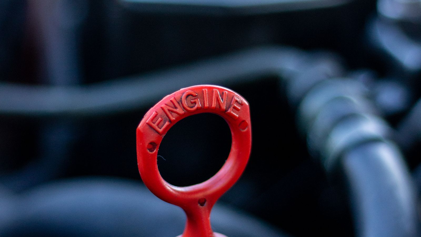 The 5 Fluids in Your Car — and How to Check Them in 10 Minutes